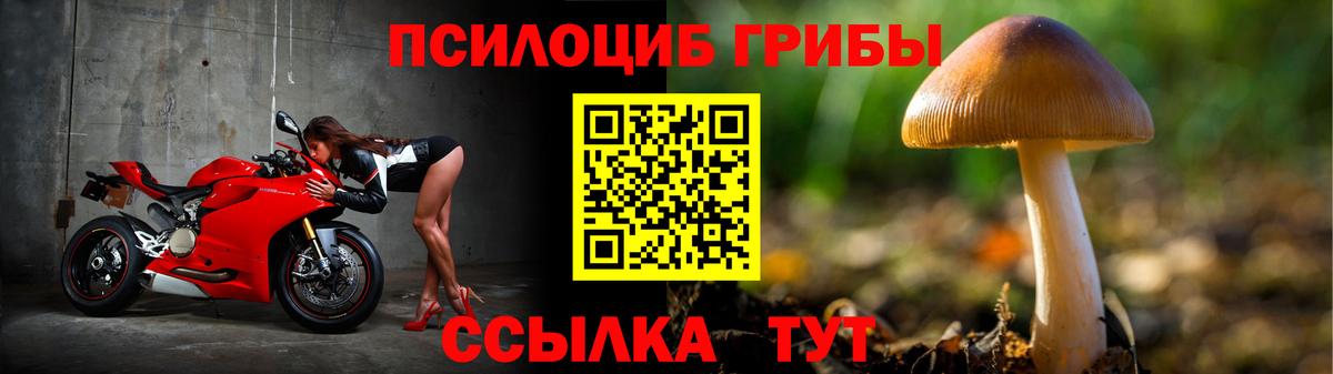 Псилоцибиновые грибы GOLDEN TEACHER Донецк